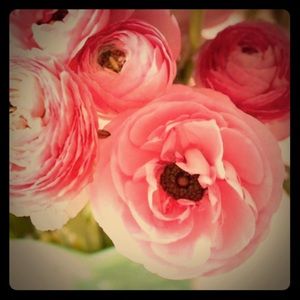 Make offers! Discounts on bundles!